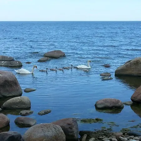 Korter уютная в 10 минутах от моря Aseri